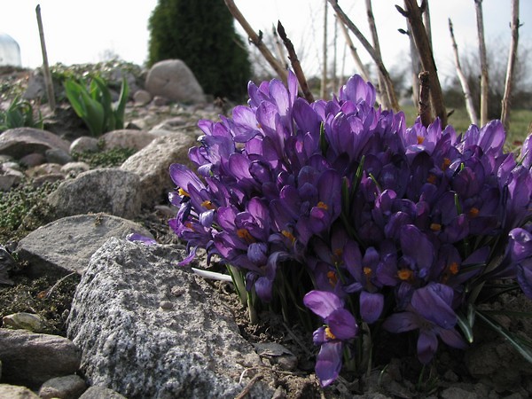 Spring time...