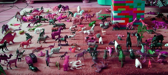 domowe zoo