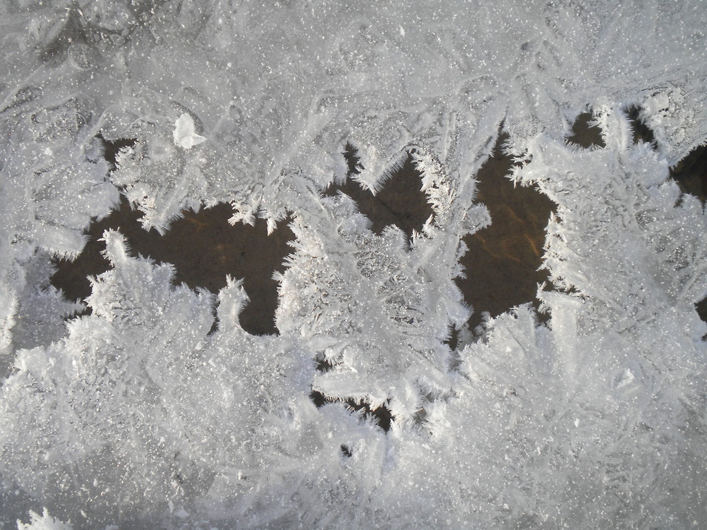 rzeczka.