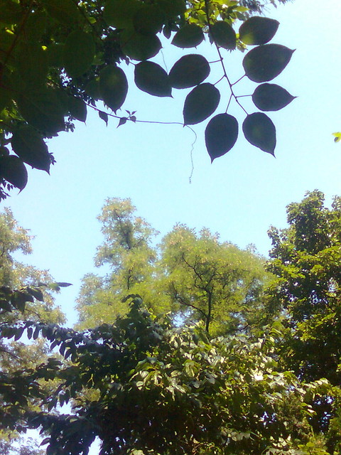 Pokonany