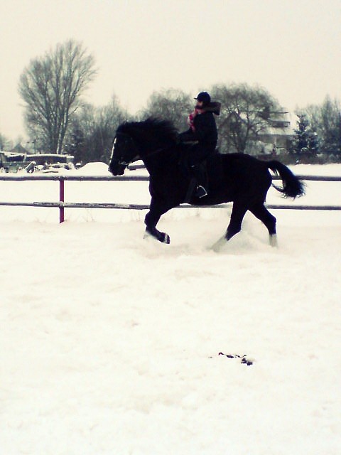 Baron 3