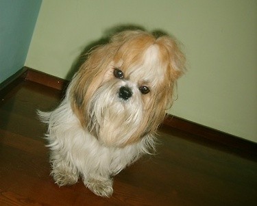 ^^Dy^^