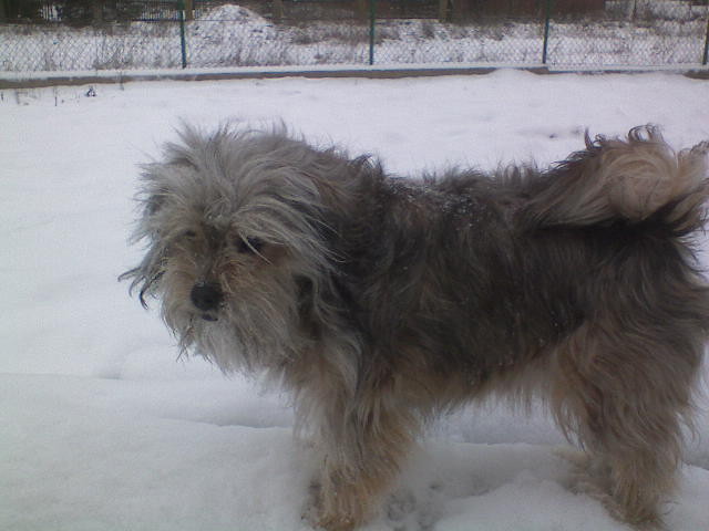 Moja Tinuka:P:)
