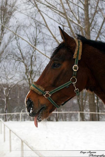 :P