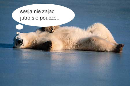 sesyja.
