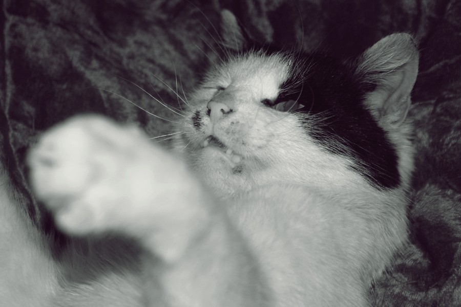 Agata.:*