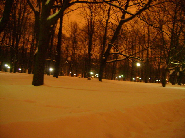 Park Saski
