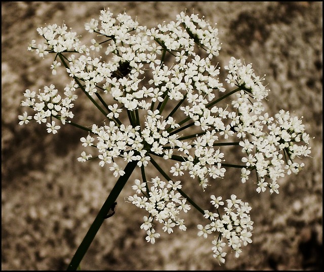 # 167 .