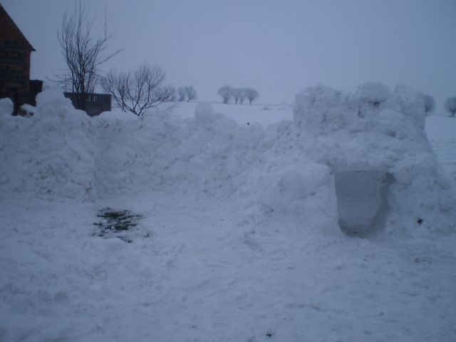 Forteca 2010