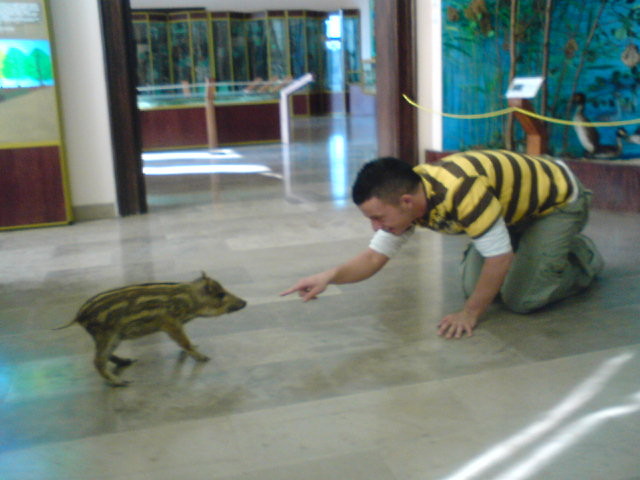 Zew Natury xD