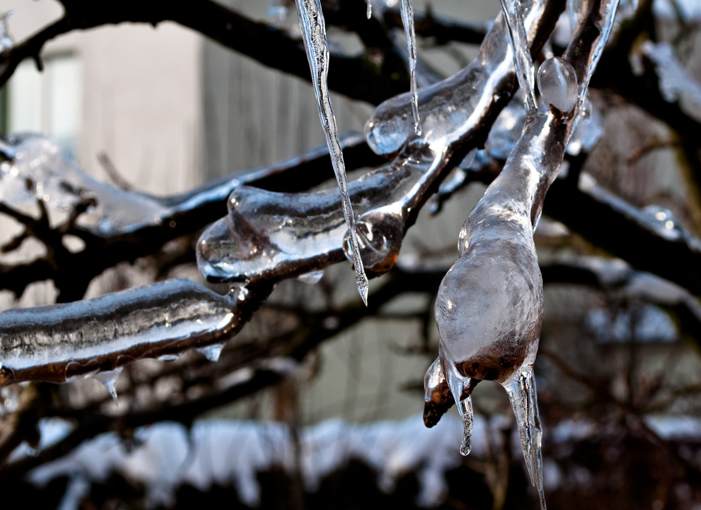 cold.?