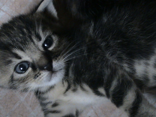 Filip :)