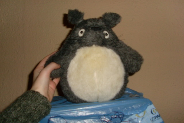 Totoro!