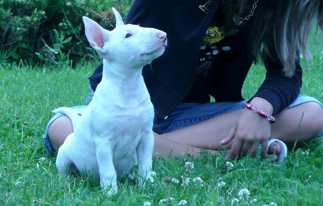 :***