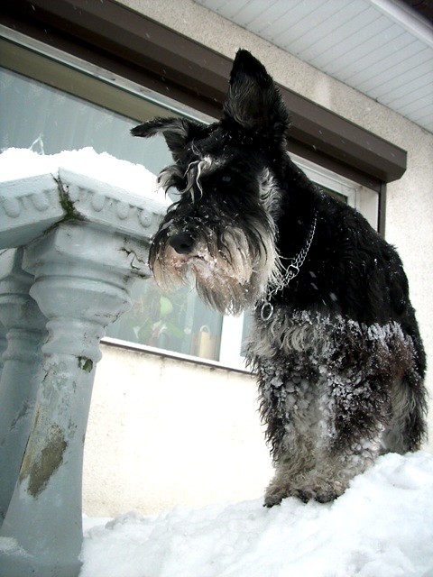 HeBcIo:***