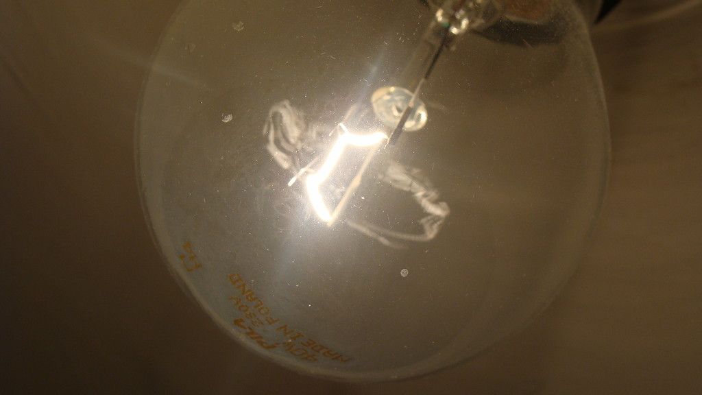 Bulb