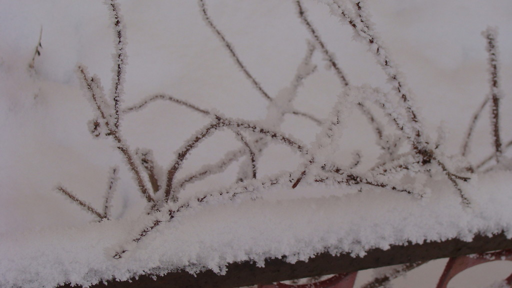 Still winter