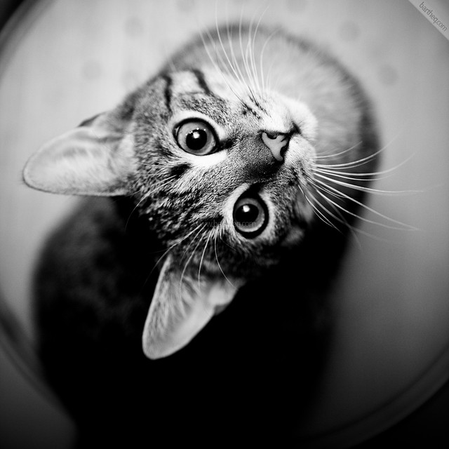  . ♥