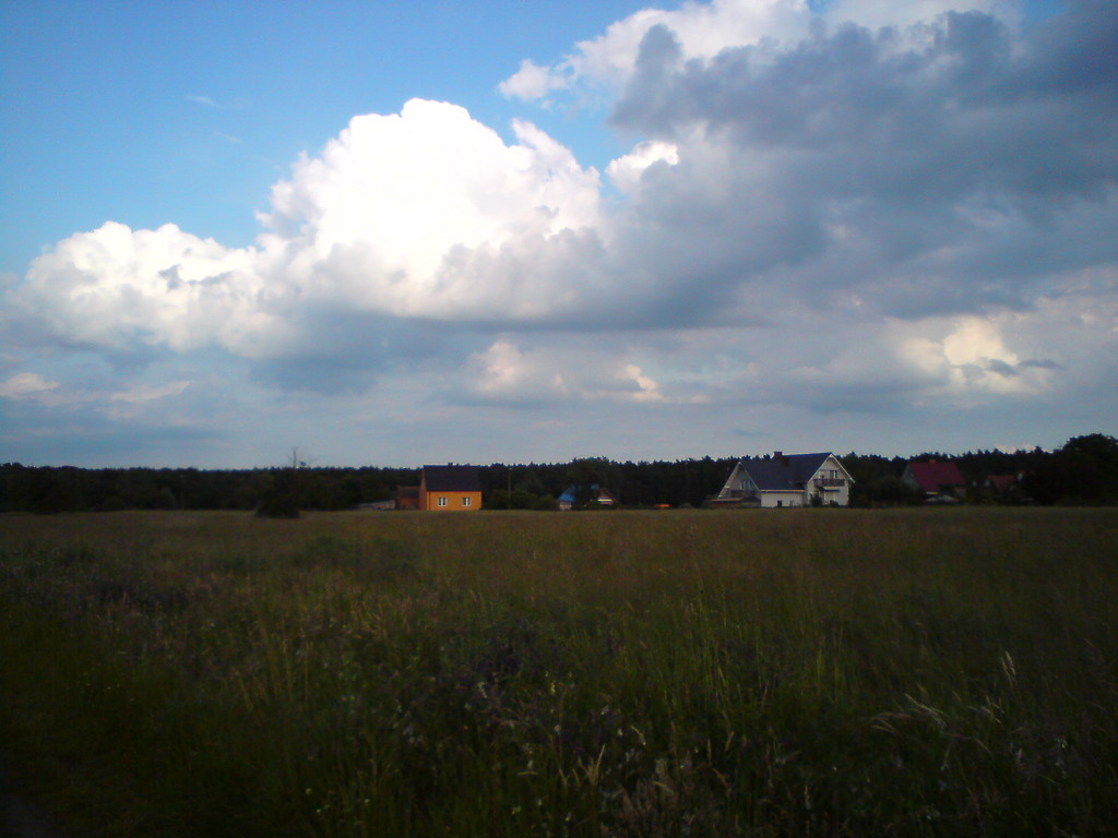 Field