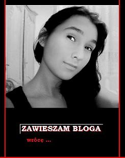 ZAWIESZAM BLOGA