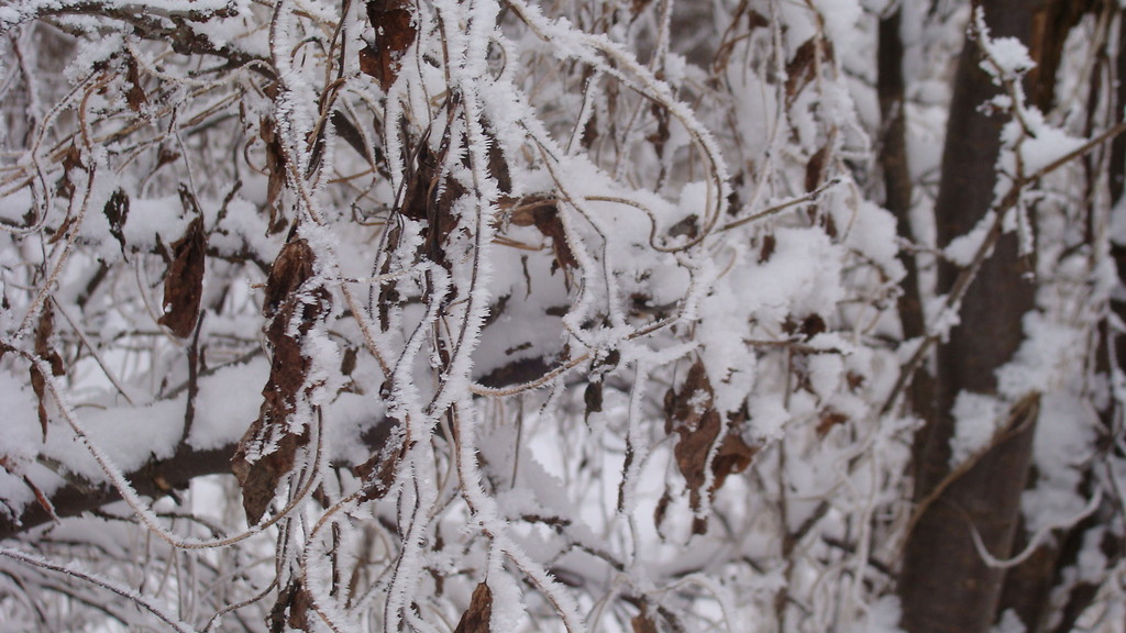 Winter again