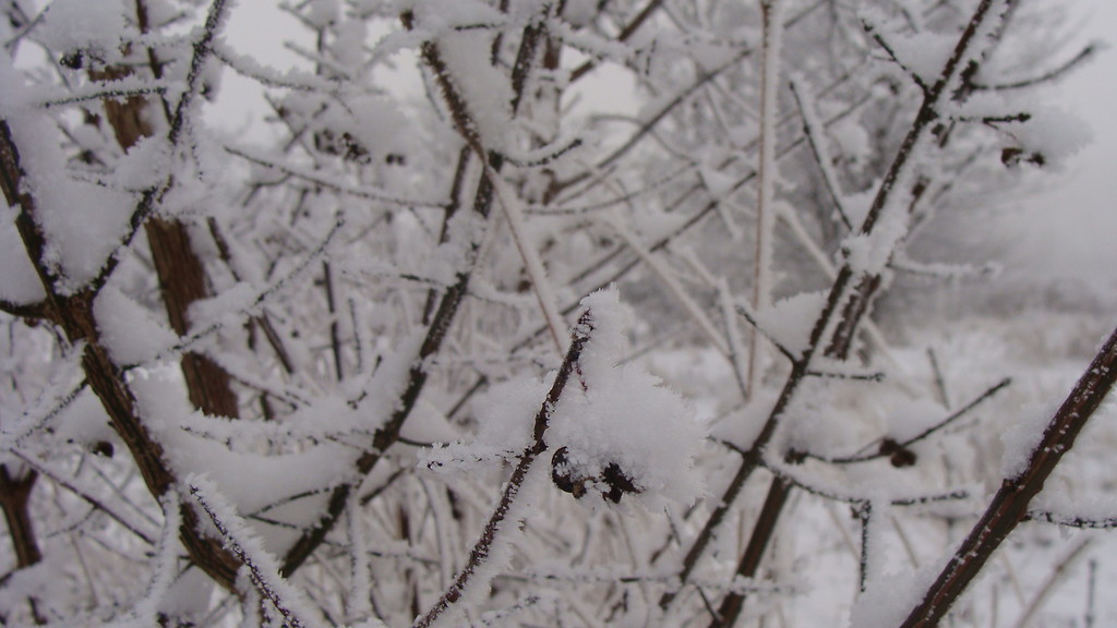 There is still winter...