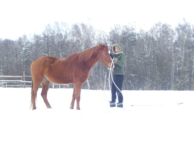 stycze 2010