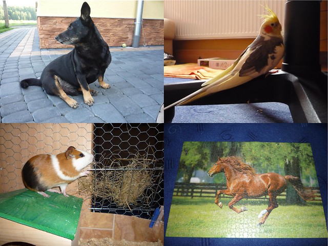 Moje kochane :)