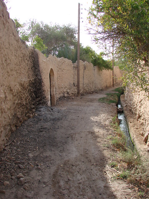 cieka 