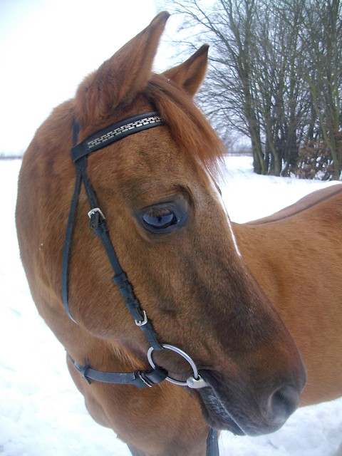 Kucy ;)