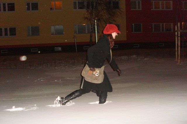 Rudy lis polarny