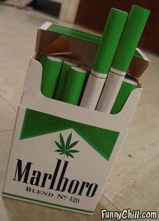 Marlboro xD