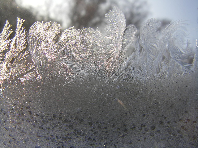 Ice, Ice Baby.! 