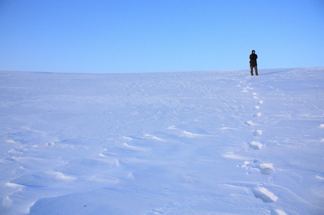 I Stand Alone