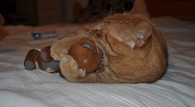 Misiu. ^^ 