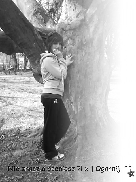 ` s t a r e x 333