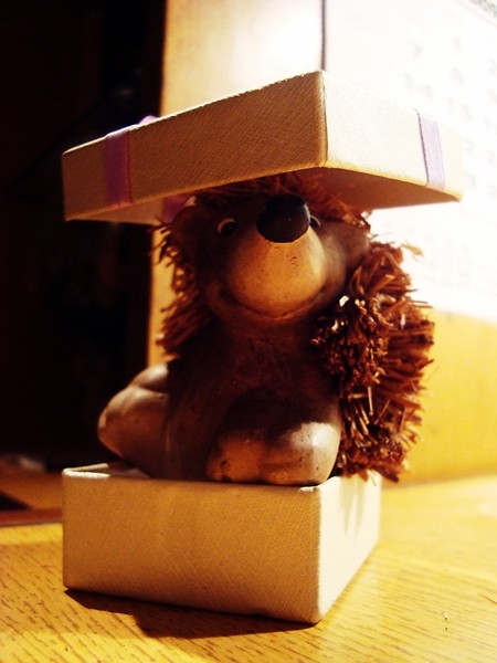 bo Ci kocham < 333 