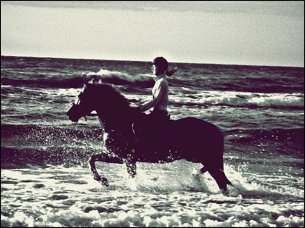 Morze ; D