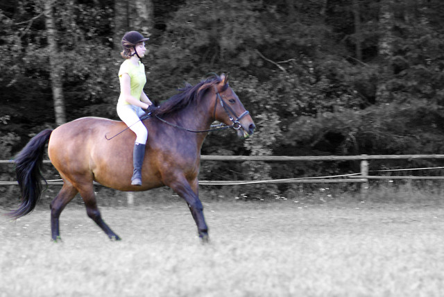 Galop.