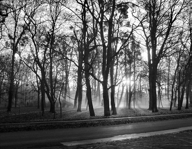 .shadowplay