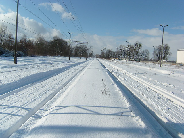 Zima
