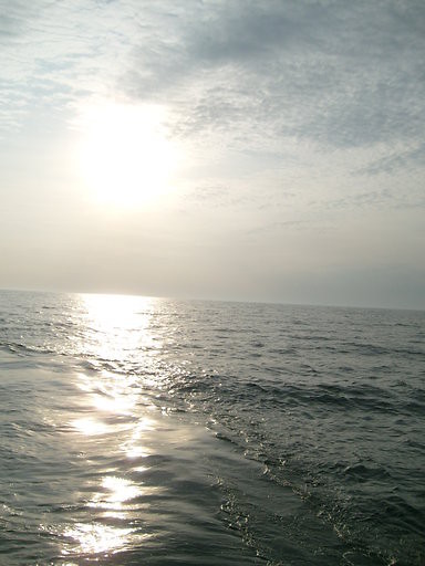 Bezsilno 