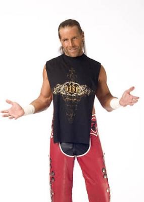 Shawn Michaels