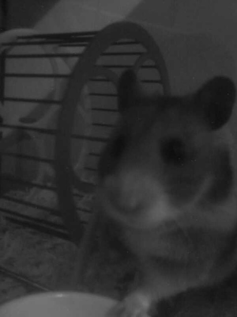 Marianek =*;*