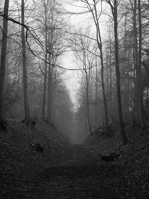 Ampthill Park