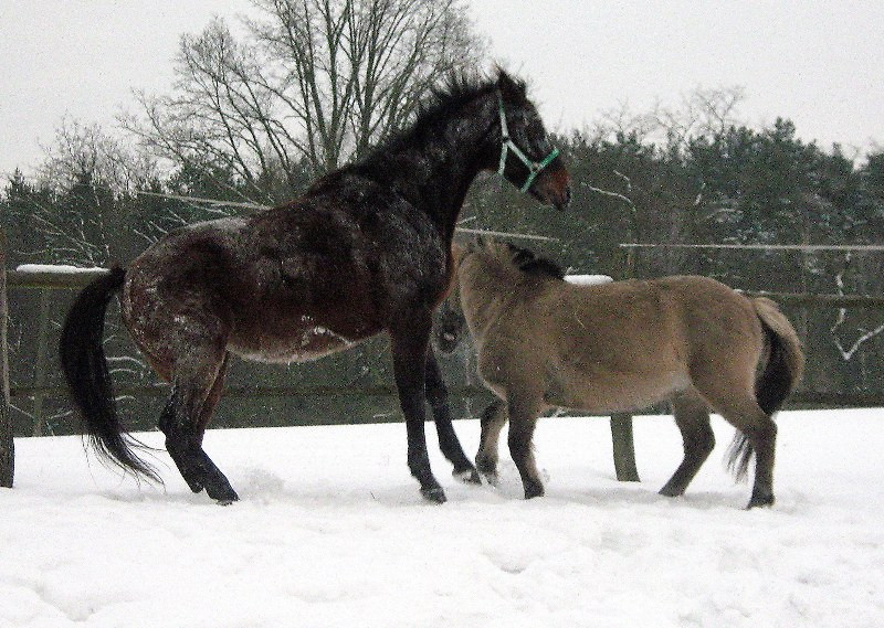 Parys & Siwy < 3 