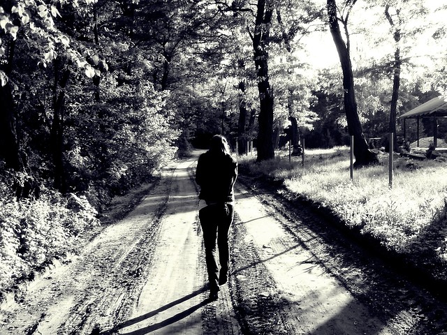 wracam...