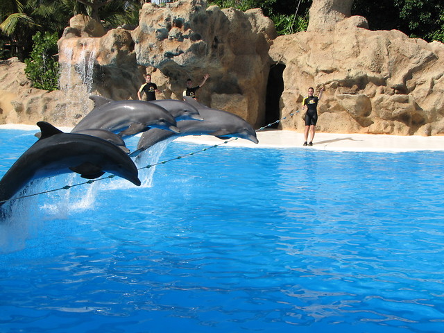 Loro Parque