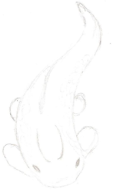 Karp Koi