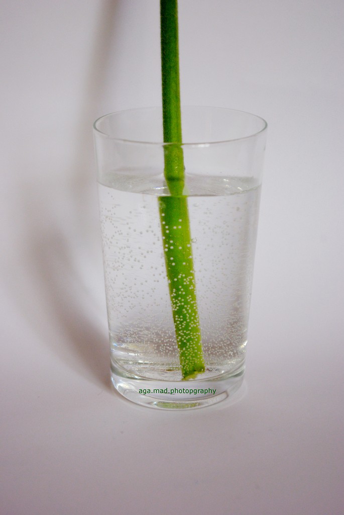 zielone.